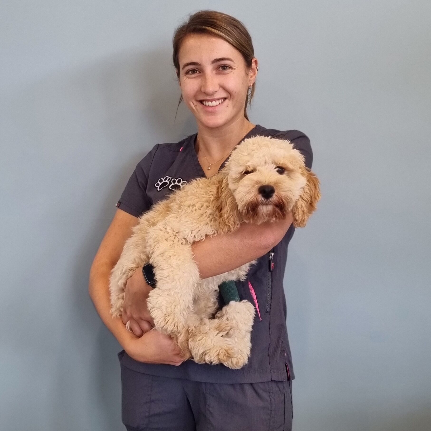 Dr Ciara Rea holding a cavoddle 